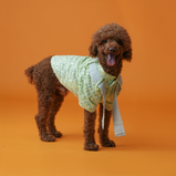 Mirror Sequin Dog Kurta – Mint Green Ethnic Wear for Dogs | Floof & Co