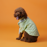 Mirror Sequin Dog Kurta – Mint Green Ethnic Wear for Dogs | Floof & Co