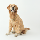 Mirror Sequin Dog Kurta – Peach Traditional Wear for Dogs | Floof & Co