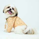 Mirror Sequin Dog Kurta – Peach Traditional Wear for Dogs | Floof & Co