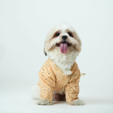 Mirror Sequin Dog Kurta – Peach Traditional Wear for Dogs | Floof & Co