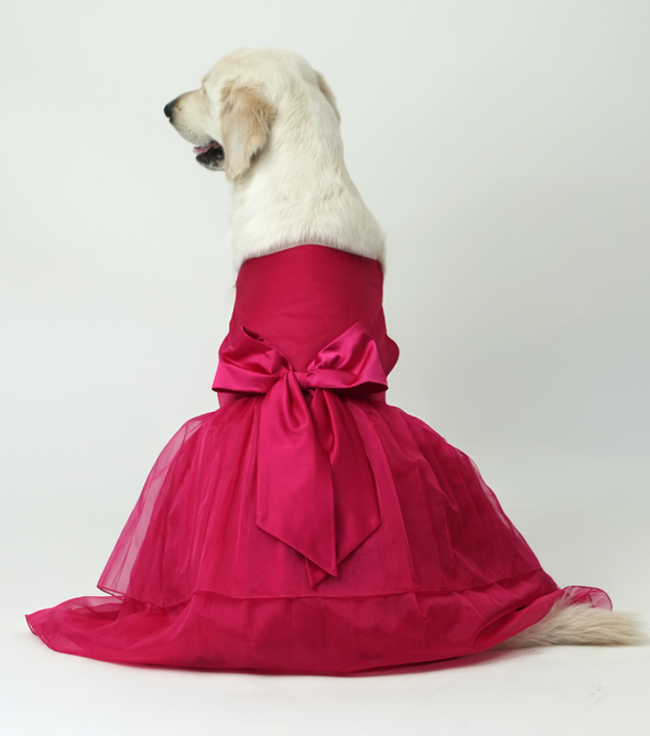 Dark Pink Organza Dog Dress for Female Dogs