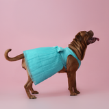 Sky Blue Organza Dog Dress for Female Dogs | Elegant Party & Summer Outfit – Floof & Co