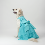 Sky Blue Organza Dog Dress for Female Dogs | Elegant Party & Summer Outfit – Floof & Co