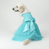 Sky Blue Organza Dog Dress for Female Dogs | Elegant Party & Summer Outfit – Floof & Co