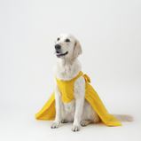 Yellow Organza Dog Dress for Female Dogs