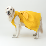 Yellow Organza Dog Dress for Female Dogs