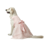 Baby Pink Organza Dog Dress for Female Dogs | Designer Birthday & Wedding Outfit – Floof & Co