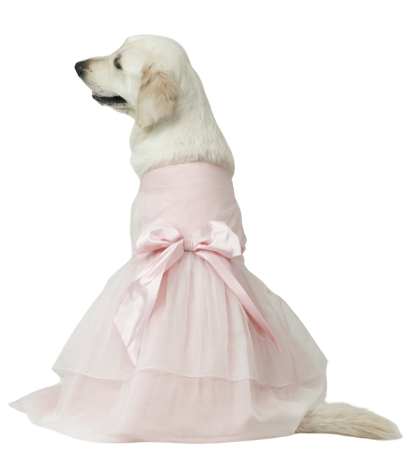 Baby Pink Organza Dog Dress for Female Dogs | Designer Birthday & Wedding Outfit – Floof & Co