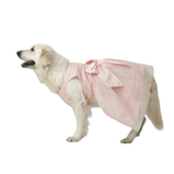 Baby Pink Organza Dog Dress for Female Dogs | Designer Birthday & Wedding Outfit – Floof & Co