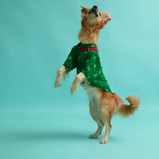 Patola Print Dog Kurta – Green Ethnic Wear for Male Dogs | Floof & Co