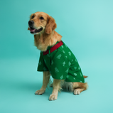 Patola Print Dog Kurta – Green Ethnic Wear for Male Dogs | Floof & Co