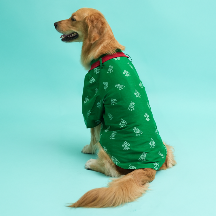 Patola Print Dog Kurta – Green Ethnic Wear for Male Dogs | Floof & Co