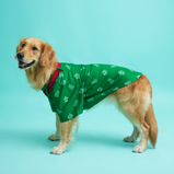 Patola Print Dog Kurta – Green Ethnic Wear for Male Dogs | Floof & Co