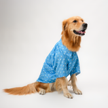 Paw Print Dog Shirt – Sky Blue Everyday Shirt for Dogs | Floof & Co