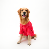Polka Dots Dog Shirt – Red Cotton Shirt for Dogs | Floof & Co