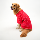 Polka Dots Dog Shirt – Red Cotton Shirt for Dogs | Floof & Co