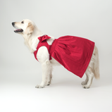 Cherry Red Satin Dog Dress for Female Dogs | Luxury Designer Party Outfit – Floof & Co