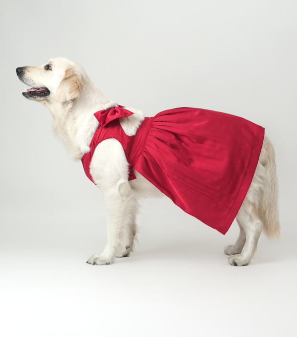 Cherry Red Satin Dog Dress for Female Dogs | Luxury Designer Party Outfit – Floof & Co