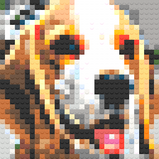 Koha’s Customized Pet Pixel Art - Man’s best friend