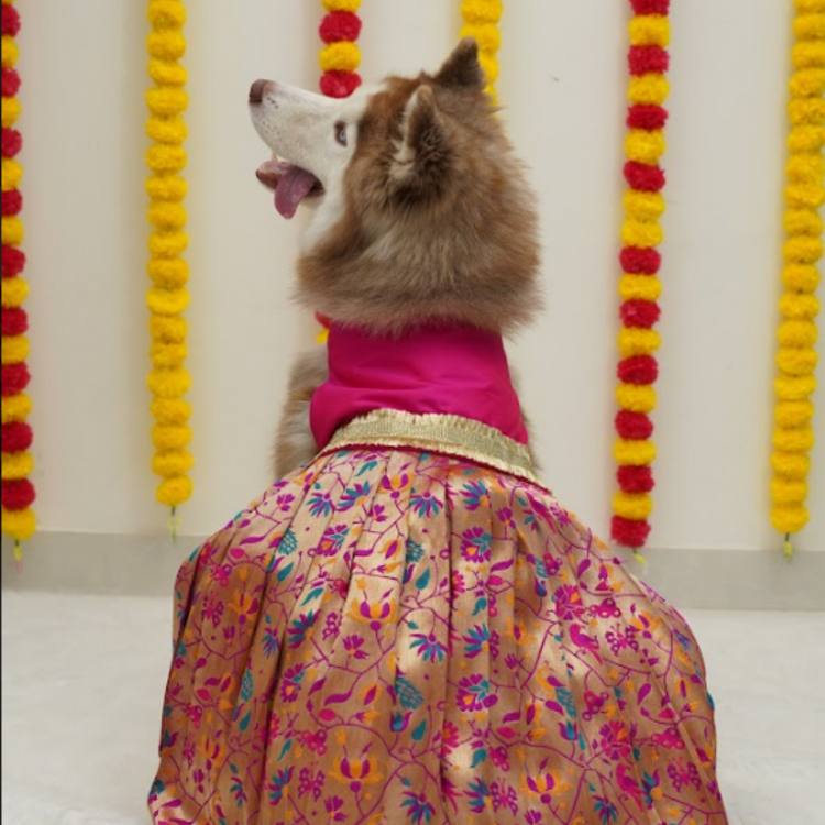 Pink Paithani Silk Lehenga