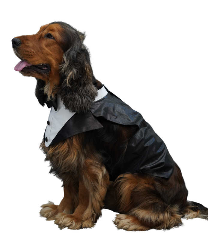 Black & White Open Full Tuxedo