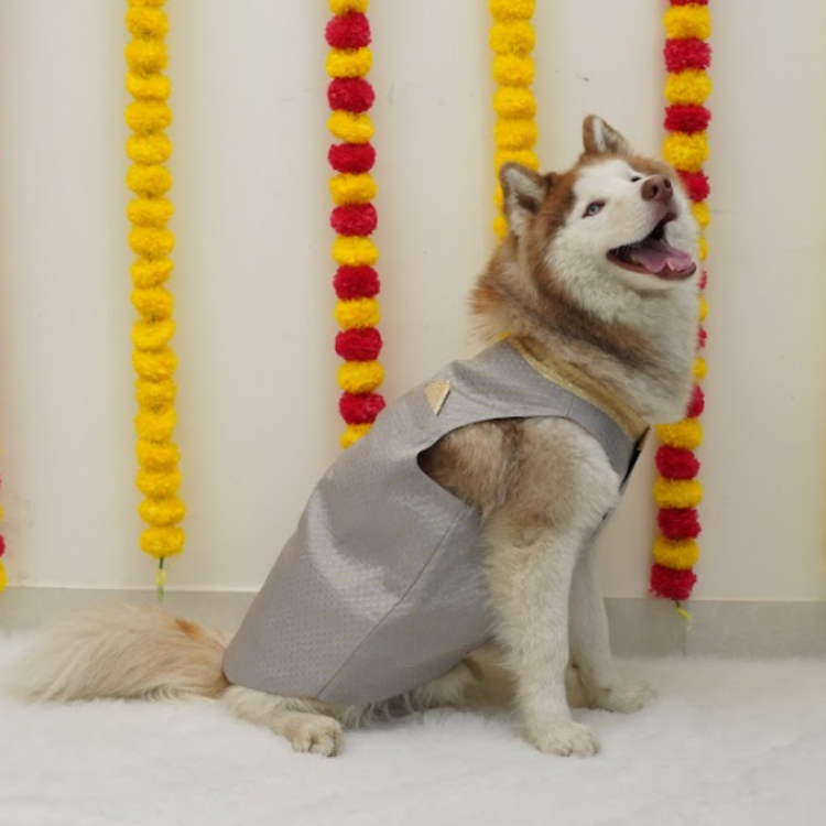 Grey & Gold Silk Sherwani