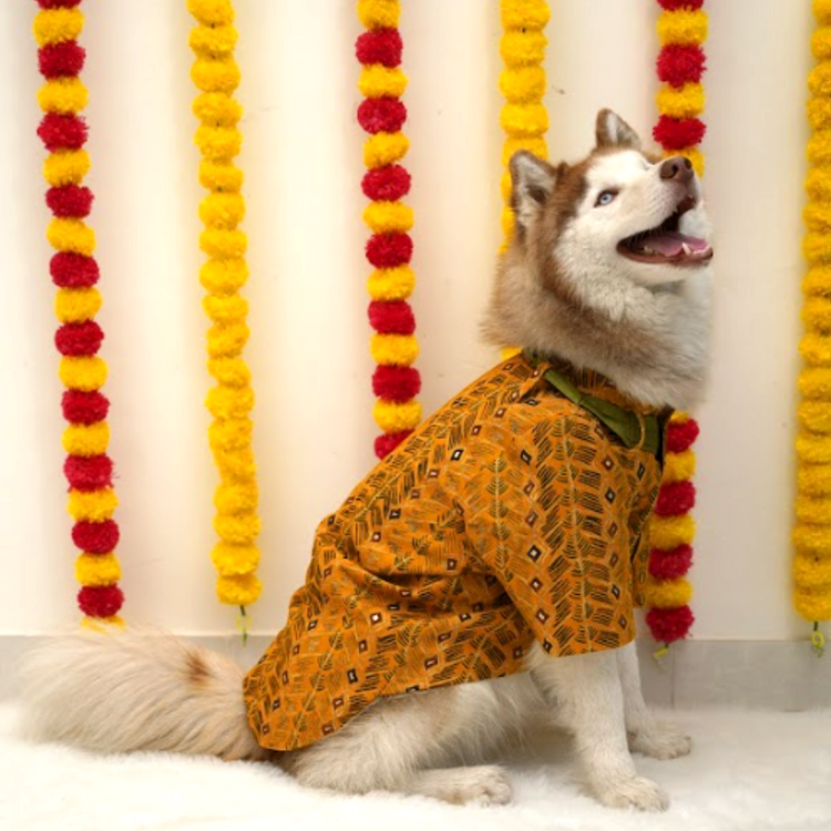 Mustard & Green Cotton Kurta