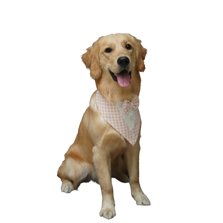 Pastel Peach Tux Bandana