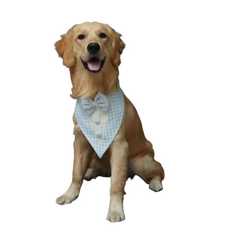 Pastel Blue Tux Bandana