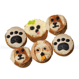 Assorted Pupcakes
