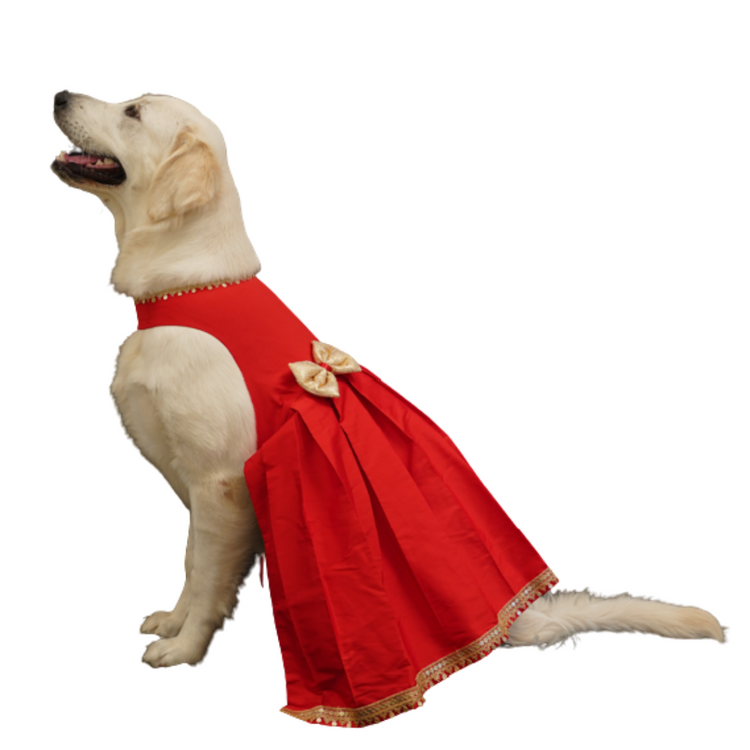 Red Silk Frock with Gold Sequence Bow