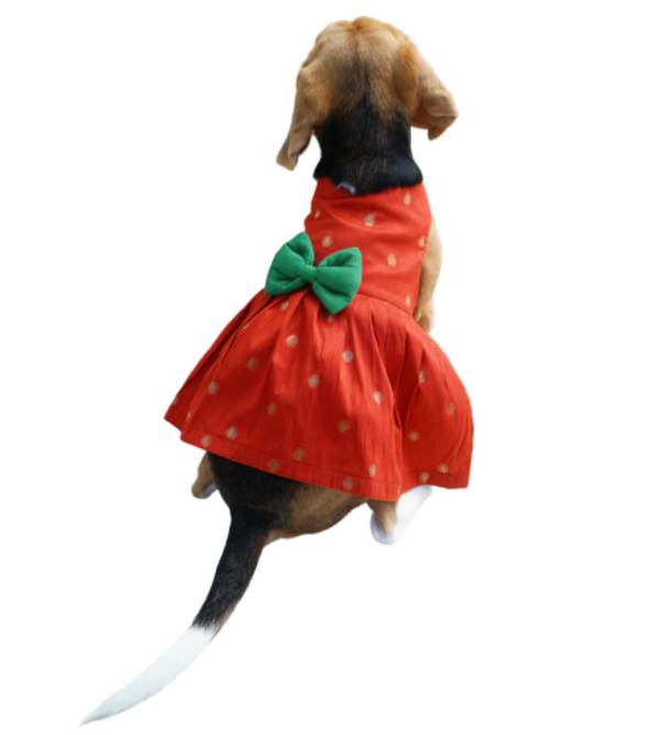 Red Silk Frock