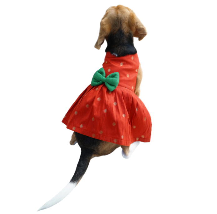 Red Silk Frock