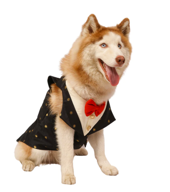 Black Silk Tuxedo