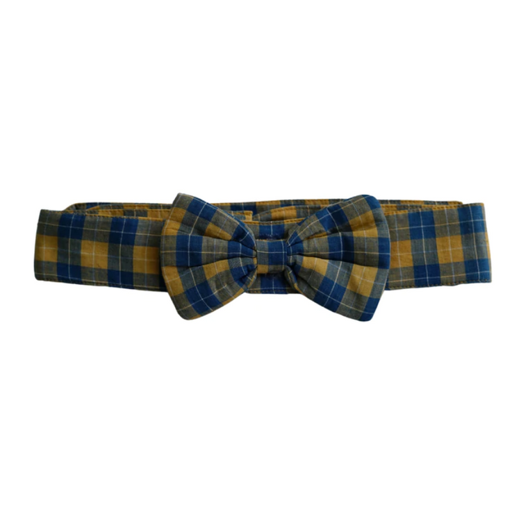 Checks Collar with Bow