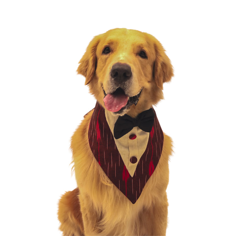 Red Ikat Tux Bandana