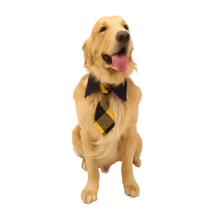 Checks Tie Collar