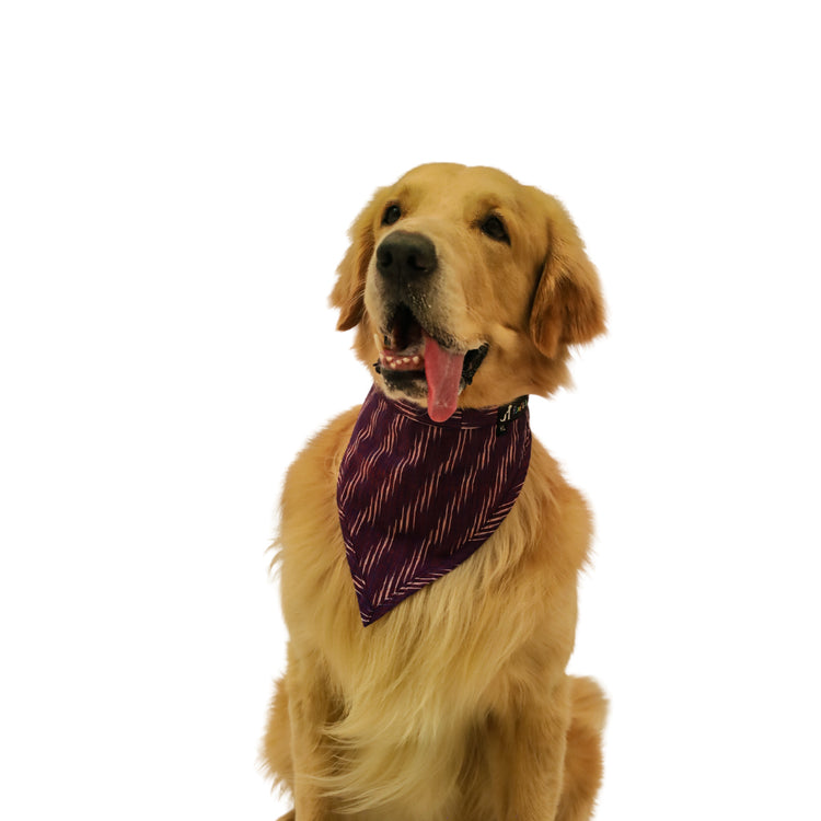 Violet Ikat Bandana