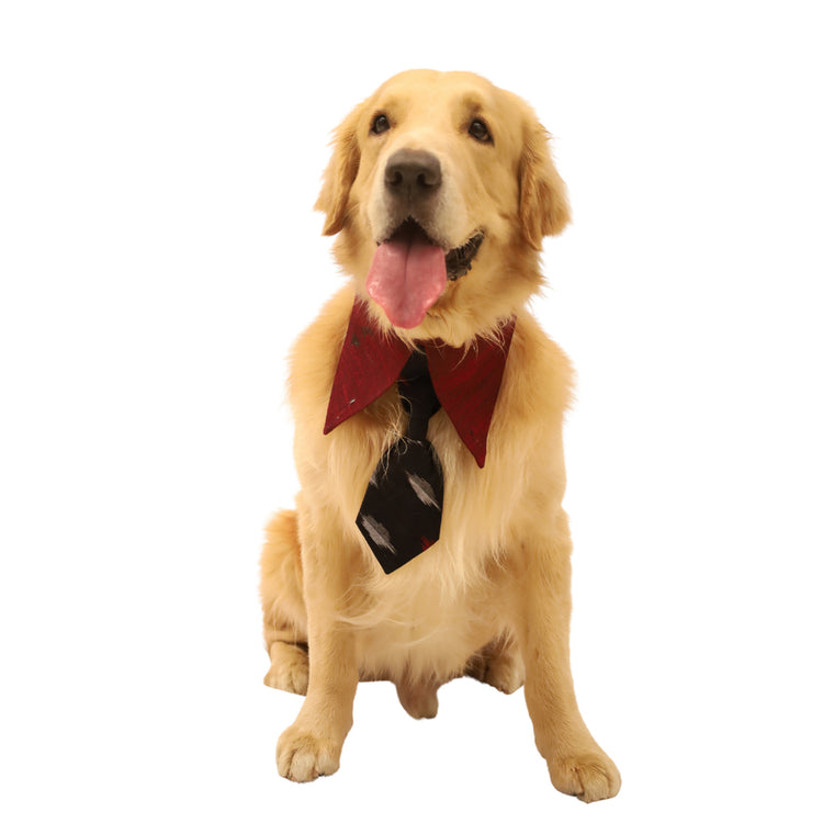 Black & Red Ikat Tie Collar