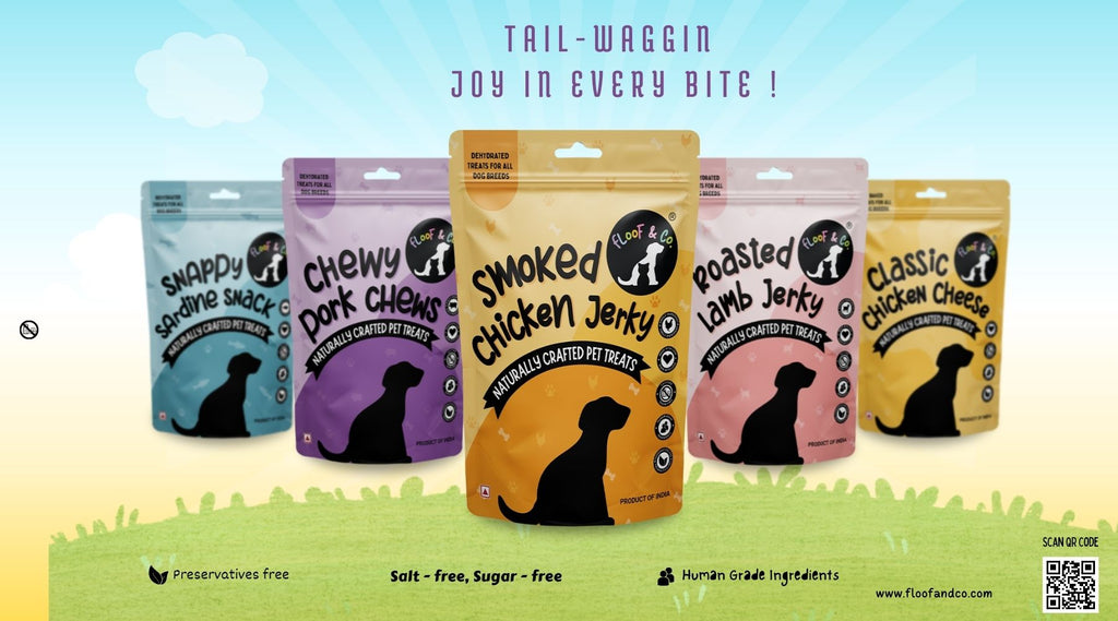 The Pawfect Gift Guide Selecting the Best Products for Your Dog's Pe