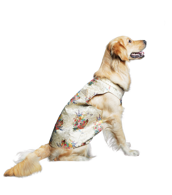 Floral Banarasi Silk Sherwani