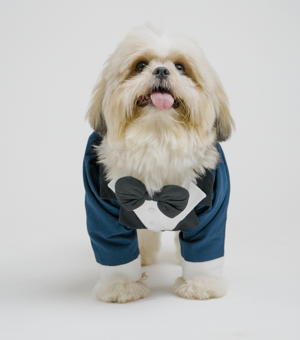 Navy Blue Dog Tuxedo Suit with Bow Tie | Floof & Co