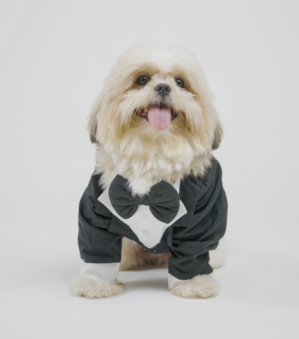 Classic Black Dog Tuxedo Suit with Bow Tie | Floof & Co