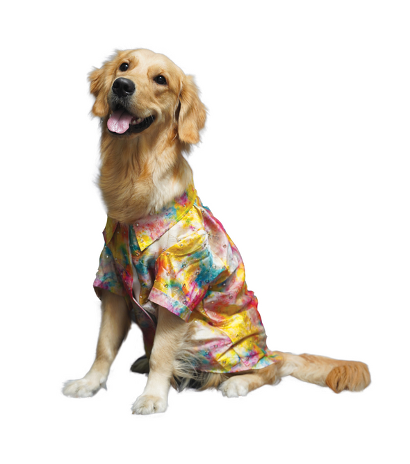 Mirror Raw Silk Shirt