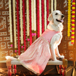 Pastel Pink & Gold banarasi Lehenga