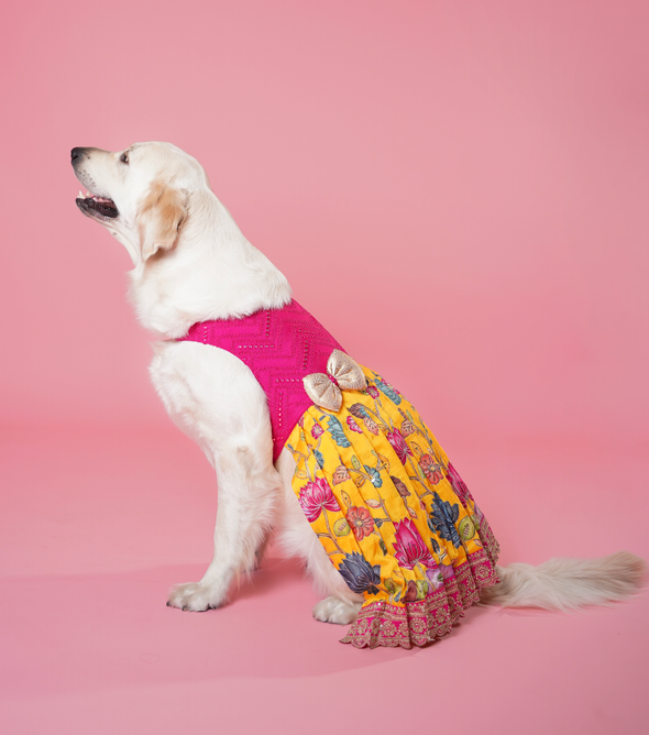 Yellow & Pink Floral Pen Kalamkari Dress