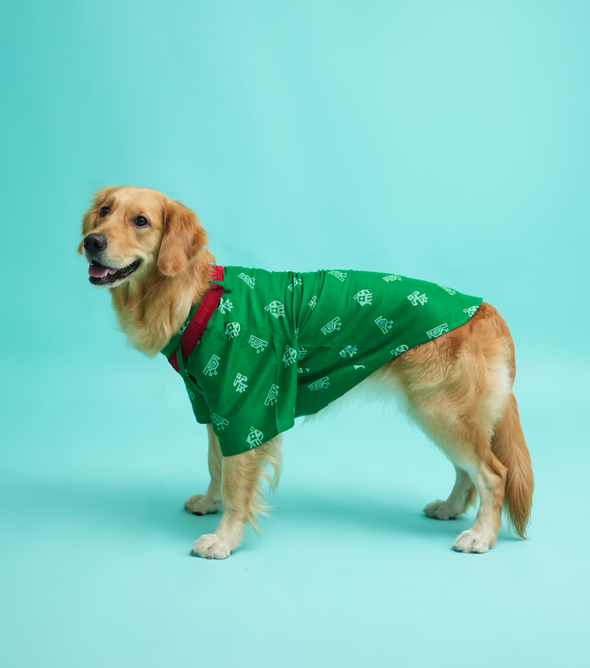 Green Cotton Patola Print Kurta