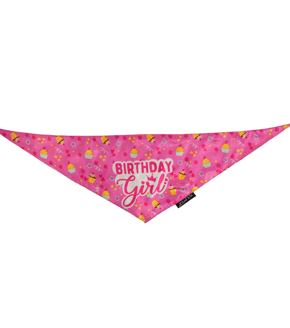 Birthday Girl Dog Bandana – Pink Celebration Bandana for Female Dogs | Floof & Co