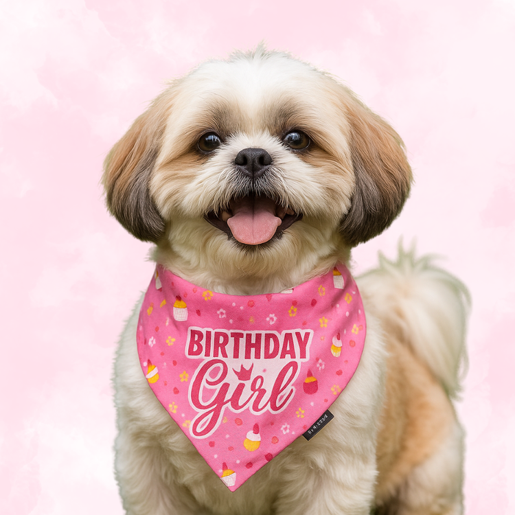 Birthday Girl Dog Bandana – Pink Celebration Bandana for Female Dogs | Floof & Co